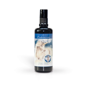Erzengel Michael & das Einhorn Löwenherz