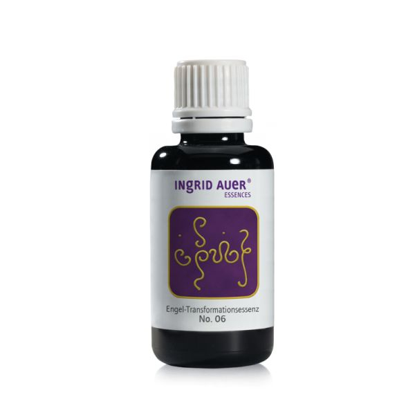 TS-Essenz No. 06 Integration der Spiritualität, 30 ml