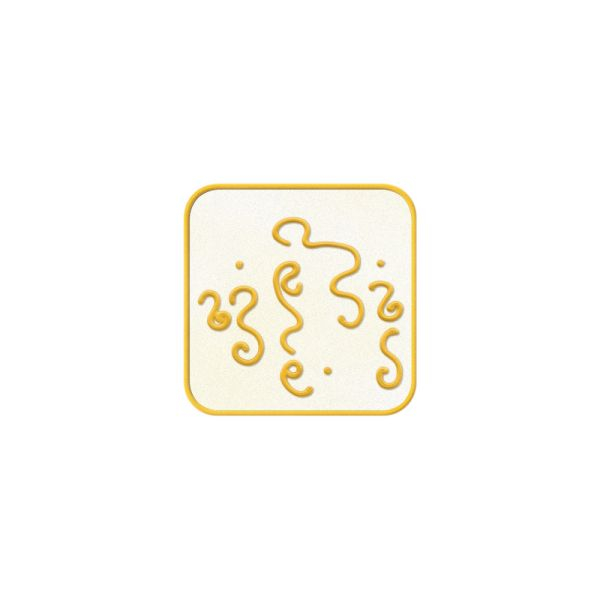 TS - Symbol Ehrliche Interpretation
